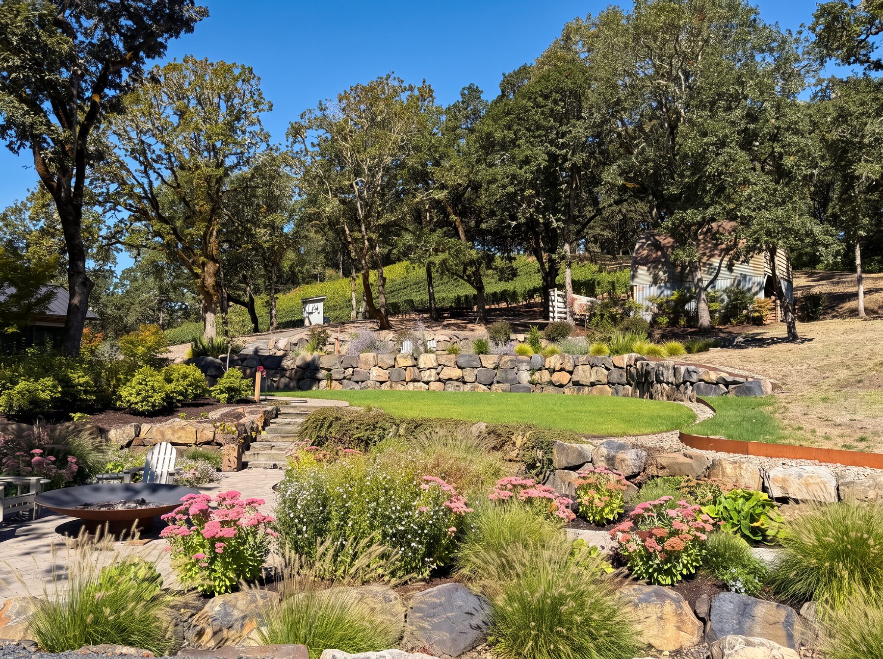 Sunny Aileron vineyard garden with oak trees, stone terraces, and flowers